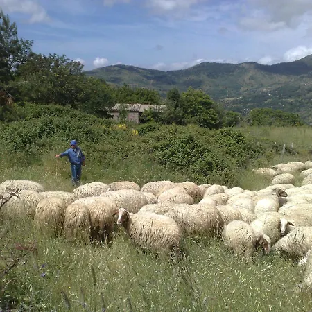 Casa di campagna La Di Cadì Petralia Soprana