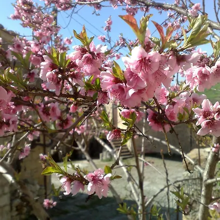 La Di Cadì Casa di campagna